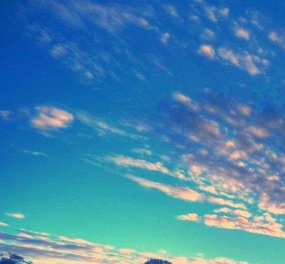 粉象生活邀请码