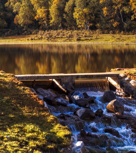 粉象生活上的赚钱是真的吗