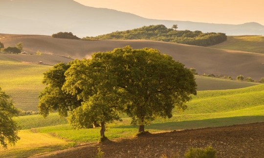 粉象生活邀请码