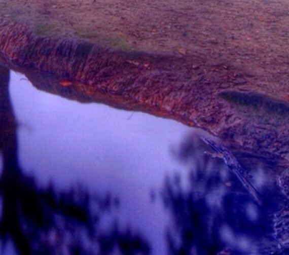 粉象生活邀请码