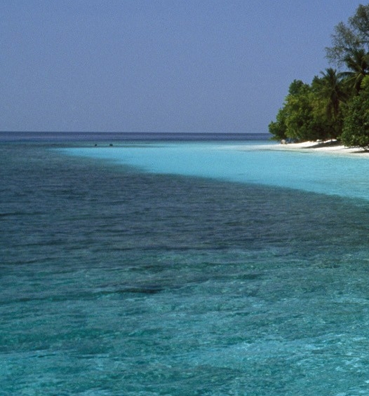 粉象生活的推广佣金怎么算