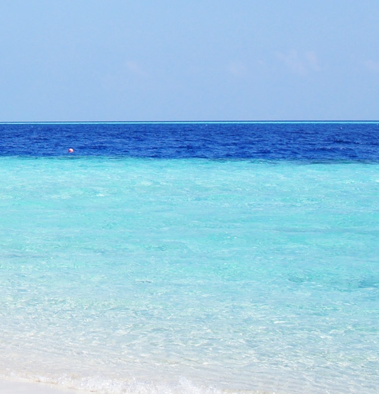 粉象生活是个什么东西