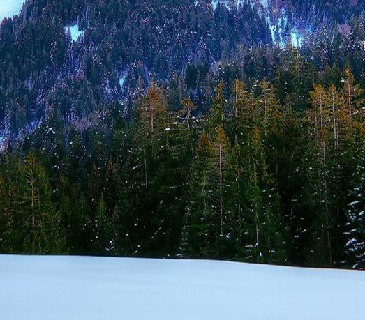 粉象生活需要推广多长时间