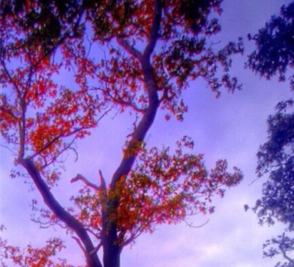 粉象生活赚钱教程