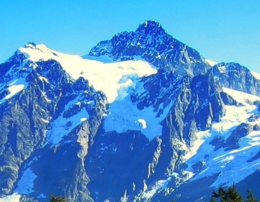 淘粉生活公司简介