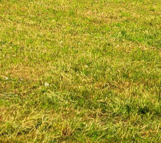 粉象生活购物订单怎么退