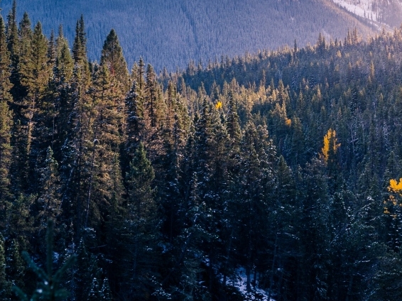 粉象生活赚钱教程