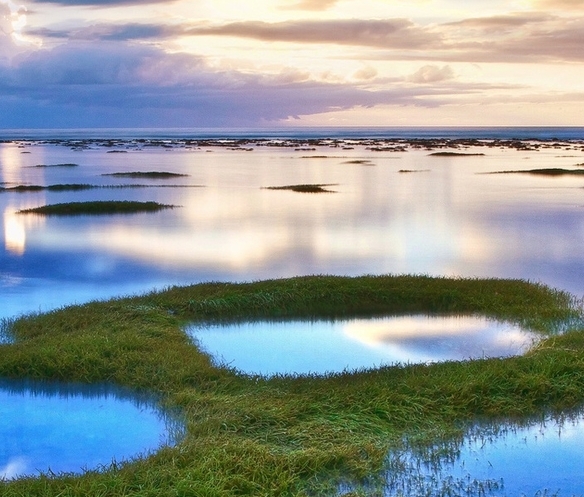 粉象生活日推广50人