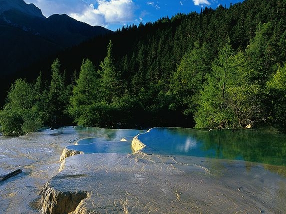 粉象生活线下店