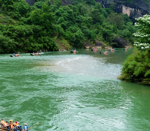 粉象生活提供人工服务