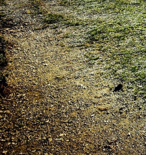 生活中像月亮的物体