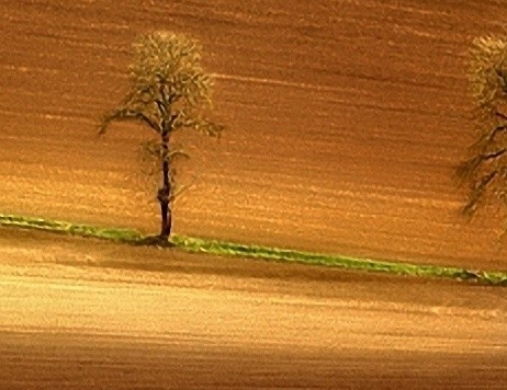 广东粉象生活如何使用