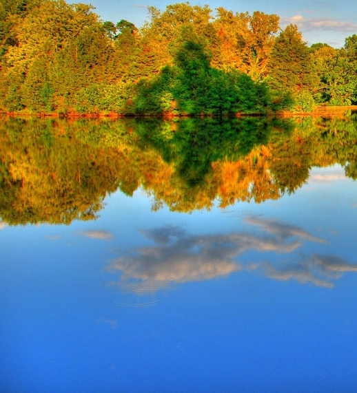 湖南创新粉象生活