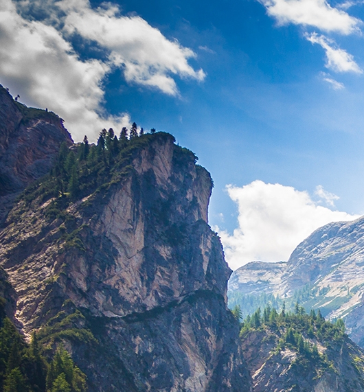 请问粉象生活和淘宝有合作吗