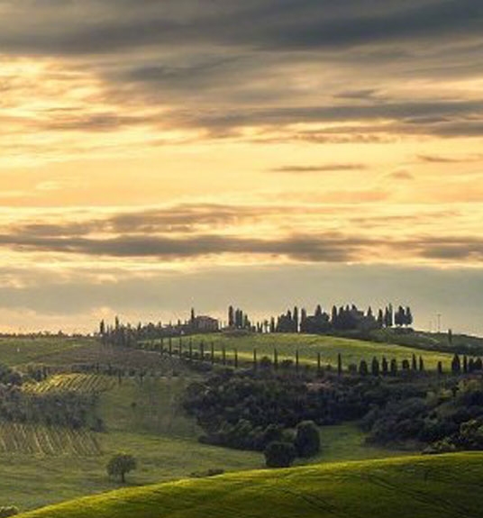 粉象生活怎样推广