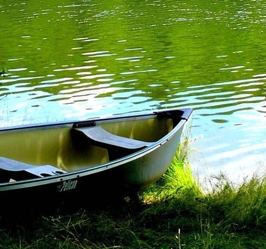 粉象生活可以赚钱吗