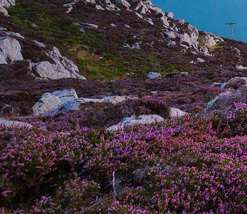 粉象生活下载app