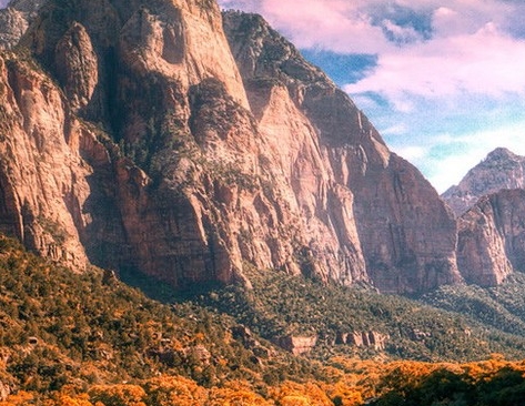 社交电商是什么意思怎么做