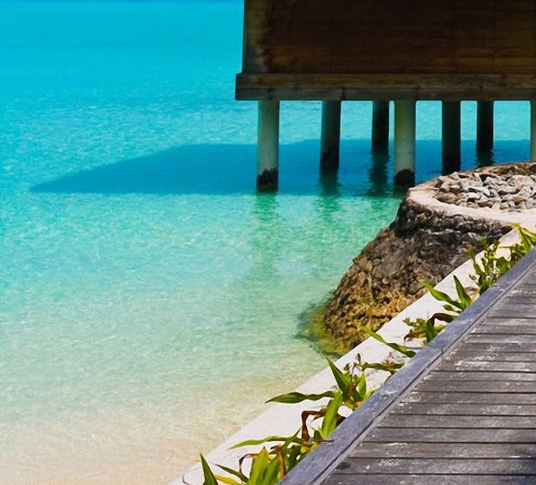 粉象生活邀请码