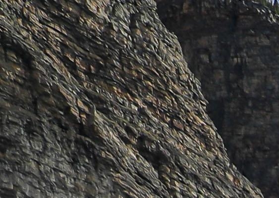 粉象生活邀请码