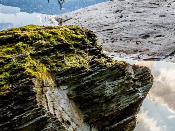增加淘宝店铺粉丝
