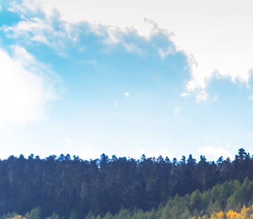 粉象生活买东西流程