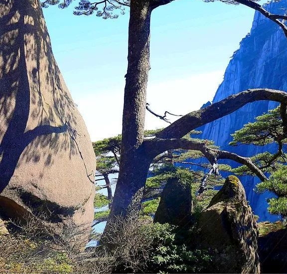 五象一站式生活购物中心