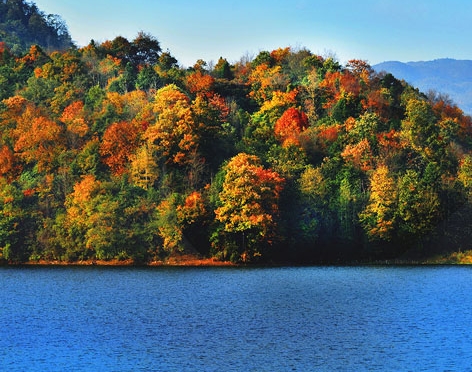 粉象生活怎么快速推广