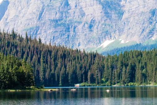 粉象生活邀请码
