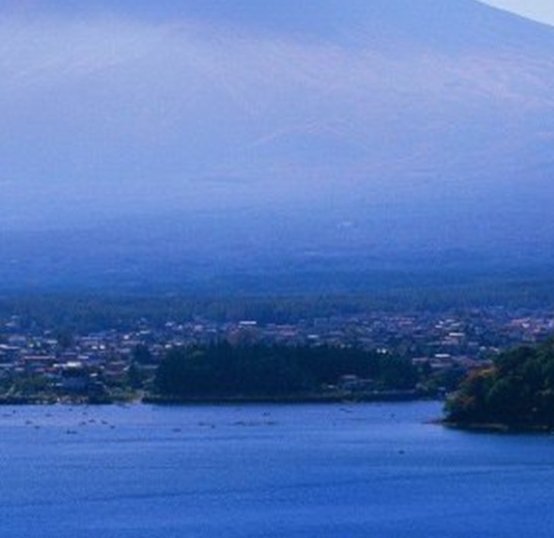 粉象生活下载app