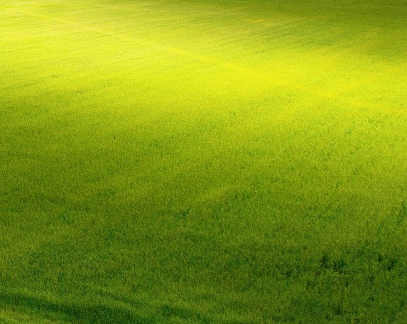 粉象生活可以看电视吗