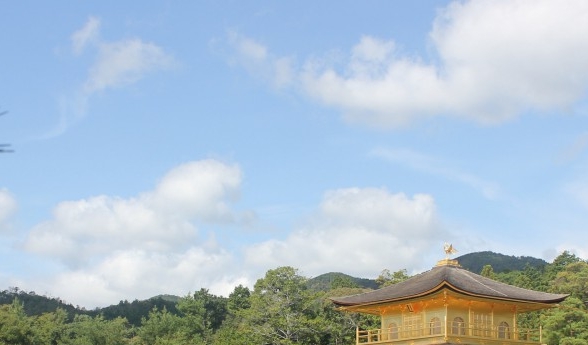 粉象生活正规合法吗