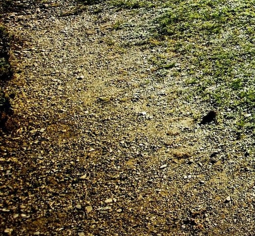 粉象生活真实收入