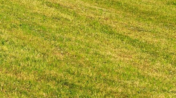 粉象生活是干什么的能赚钱吗