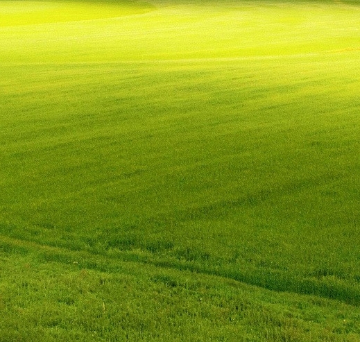 粉象生活推广文案