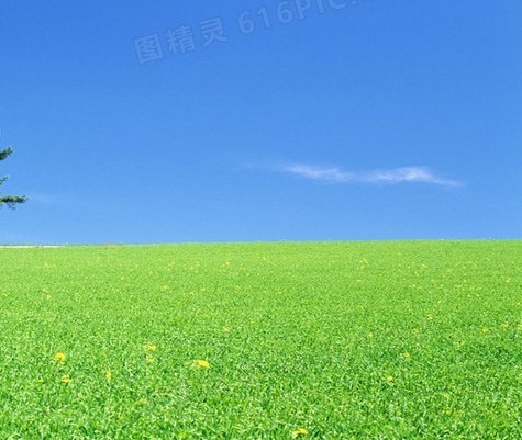 粉象生活邀请码