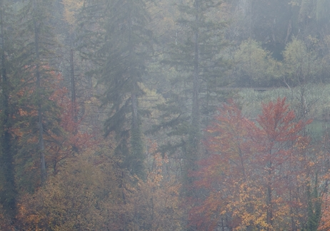 粉象生活怎么赚钱