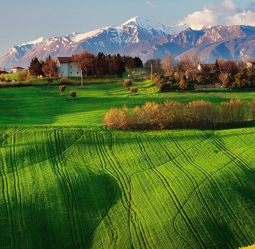 山东粉象生活邀请码