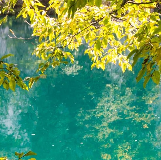 粉象生活下载后如何使用