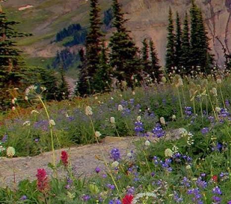 粉象生活怎么赚钱的