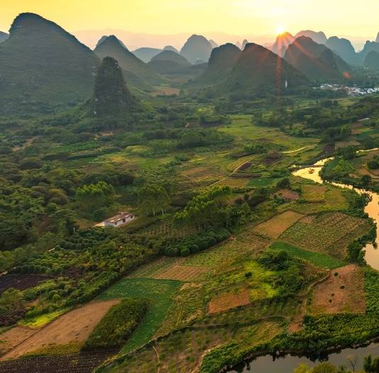 粉象生活新手怎么做