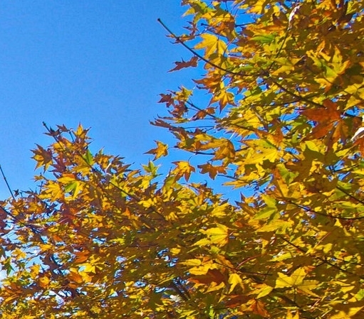 书签购物和粉象生活