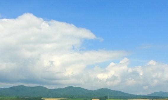 粉象生活app下载安装