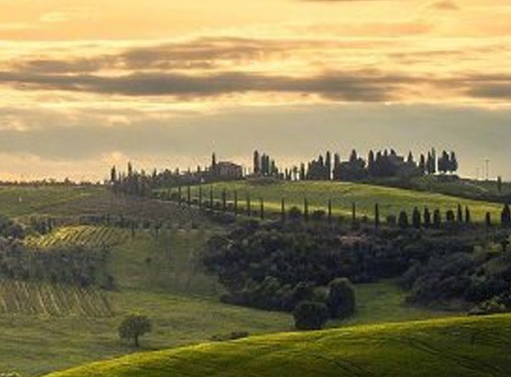 粉象生活做任务视频