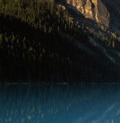 如何在粉象领取优惠券