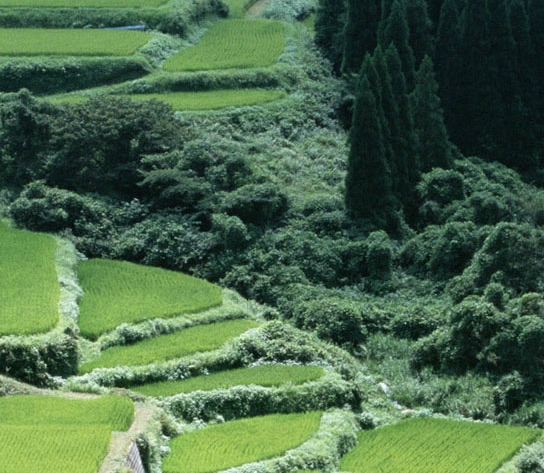 延吉适合生活吗