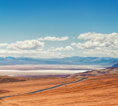 本来生活怎么查物流