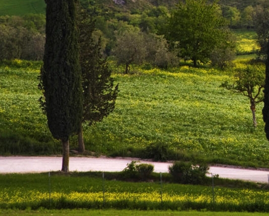 余杭再次生活补贴