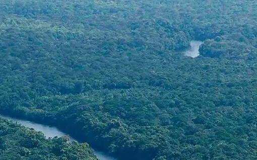 粉象生活可以赚钱吗