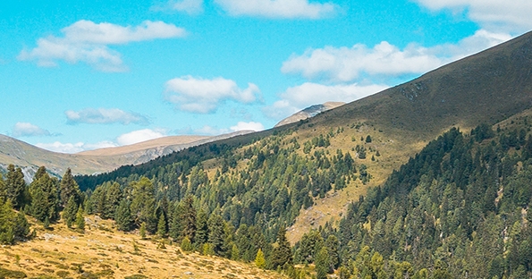粉象生活邀请码